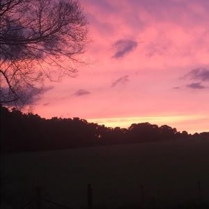 Meet your Posher, Bailey